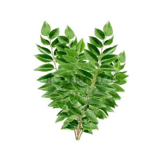Curry Leaves Bunch